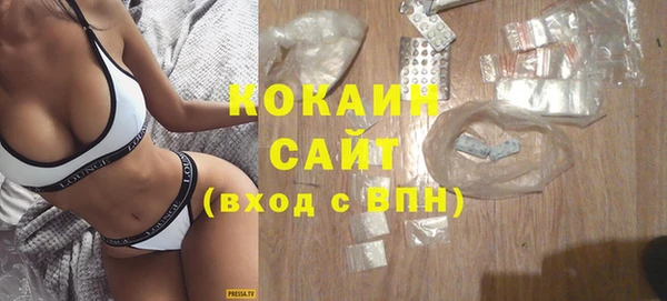 хмурый Дмитриев