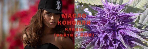 хмурый Дмитриев